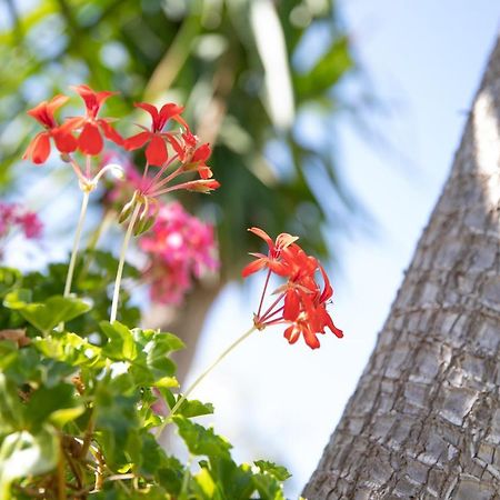 הוילה מרינה די רגוזה La Lantana מראה חיצוני תמונה
