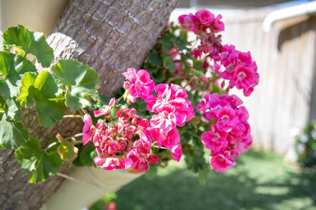 הוילה מרינה די רגוזה La Lantana מראה חיצוני תמונה